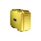 BW International Type 3000